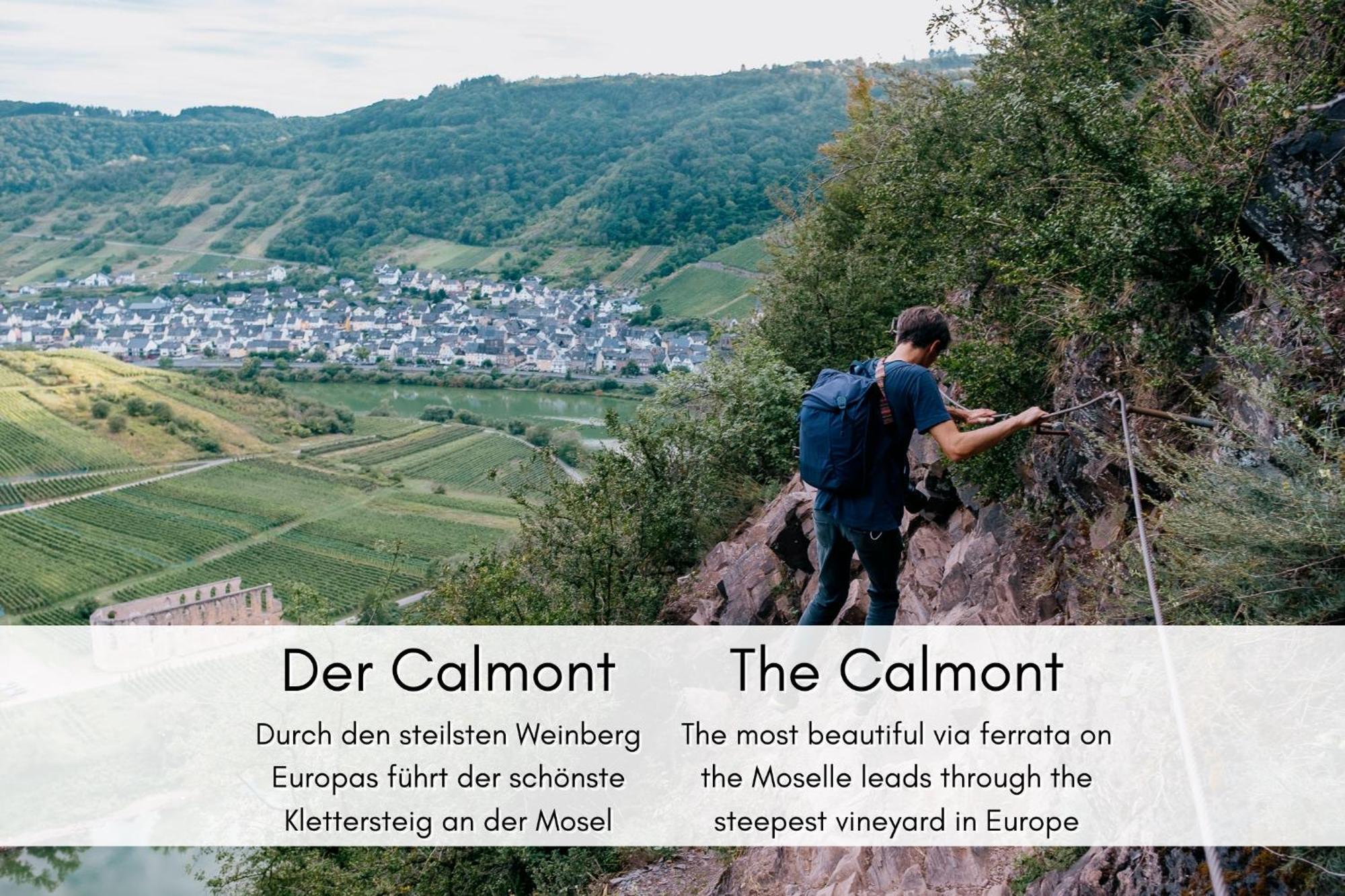 Winzerhaus Am Calmont - Raumwunder Mit Moselblick Apartment เบรมม์ ภายนอก รูปภาพ